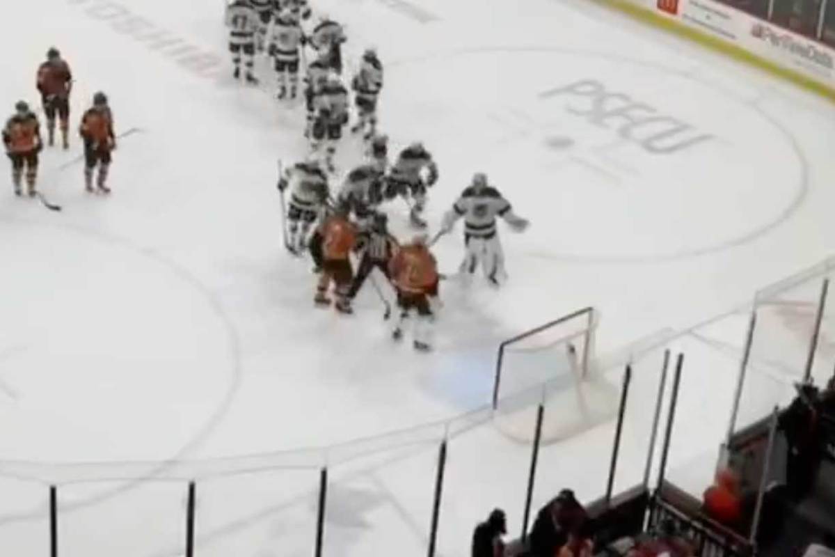 Game 4: Goalie Fight Almost Erupts After Bears Win
