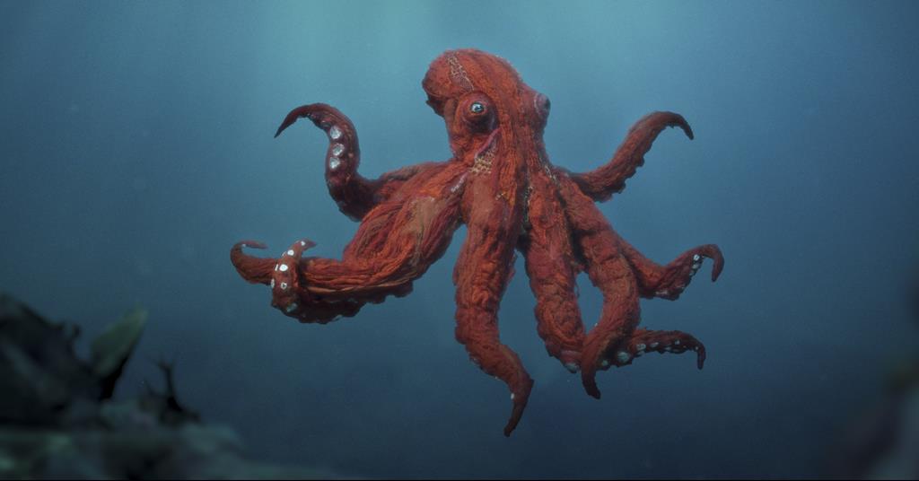 Octopus: Film Review Roundup