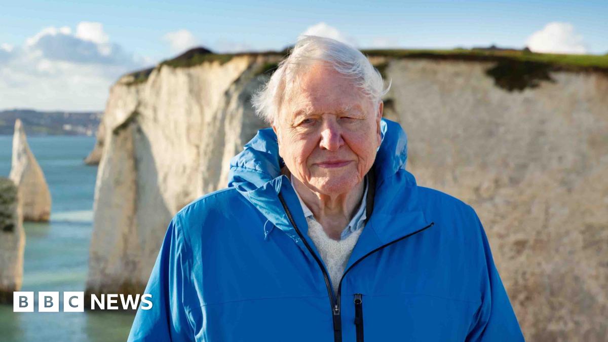 Attenborough's Ocean: A Powerful Message