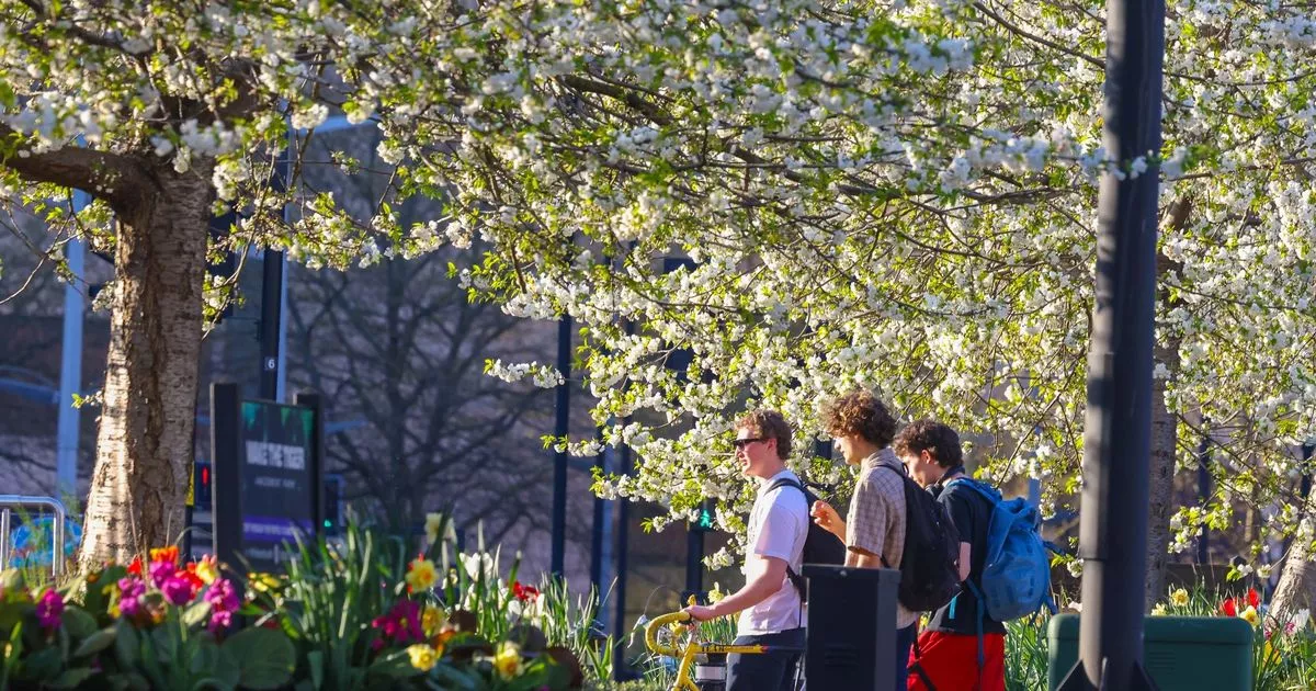 Bristol Beats Ibiza: Weekend Heatwave