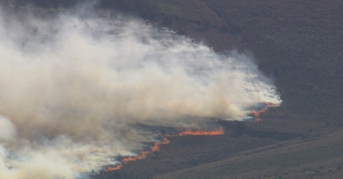 Firefighters Battle Grass Fire Near Melbourne Airport