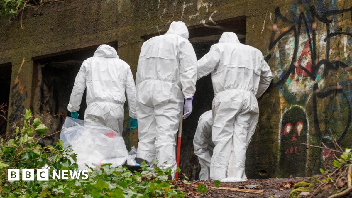 Housemate Murder: Stuart Everett's Capture