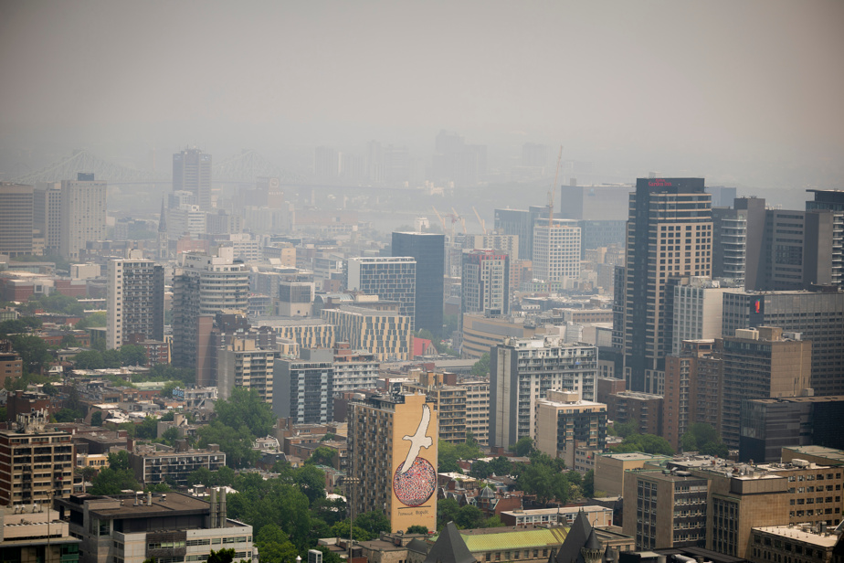 Incendies De Forêt: Smog Apocalyptique