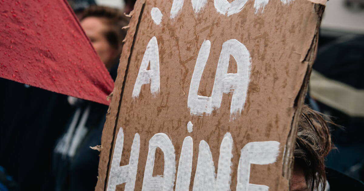 Manifestations Anti-racistes Éclipsées Par La Polémique LFI