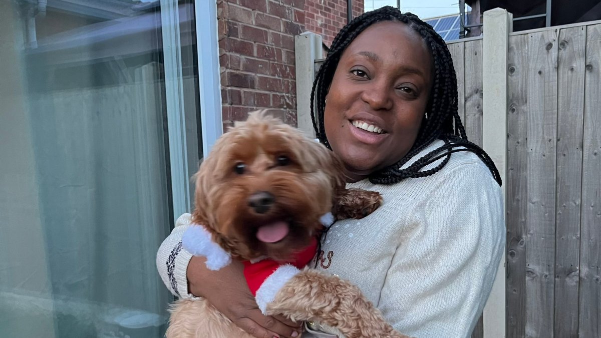 MP's Pet Expenses: £900 Cockapoo Bill