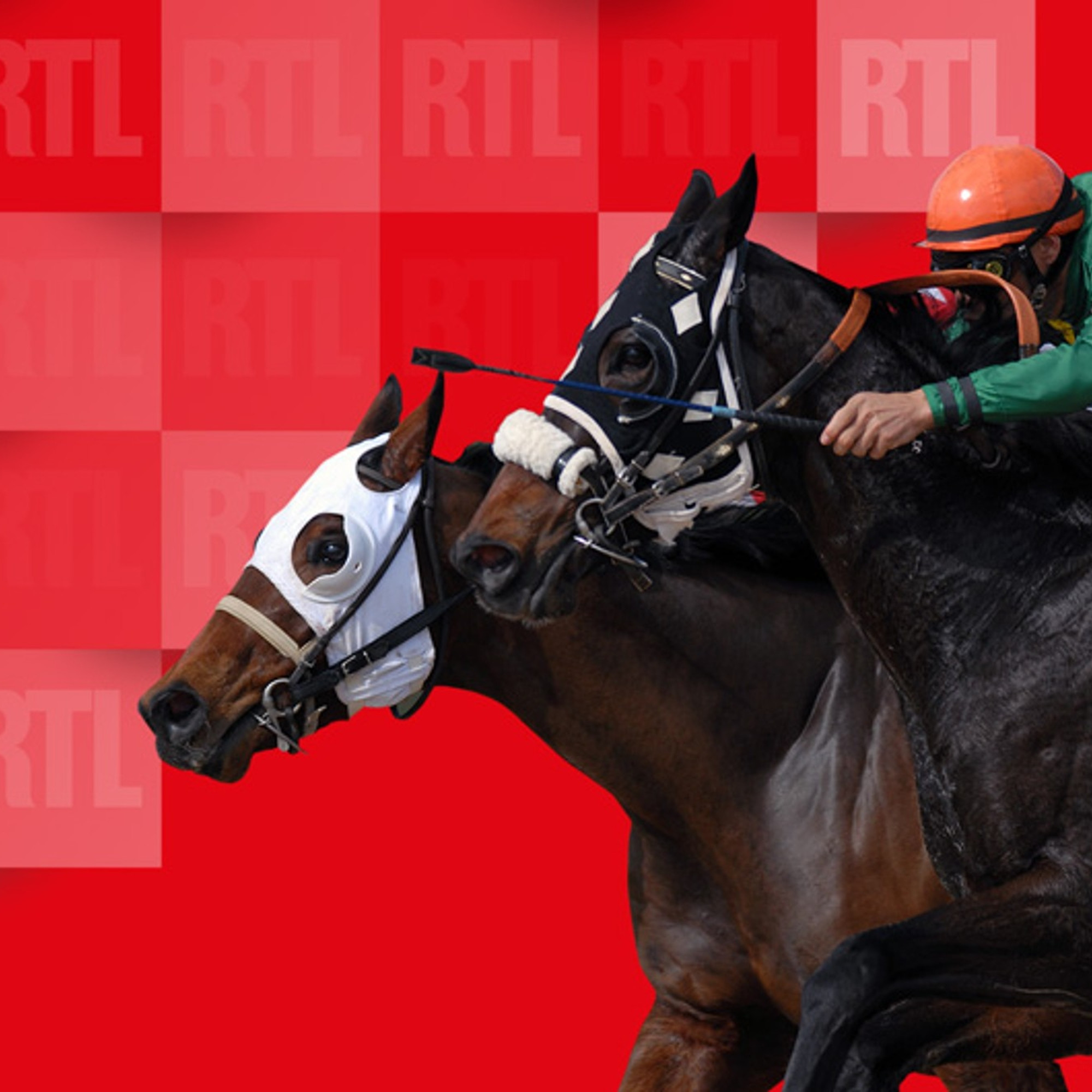 Pronostics Quinté Saint-Cloud 29 Mars 2025: Analyse Course