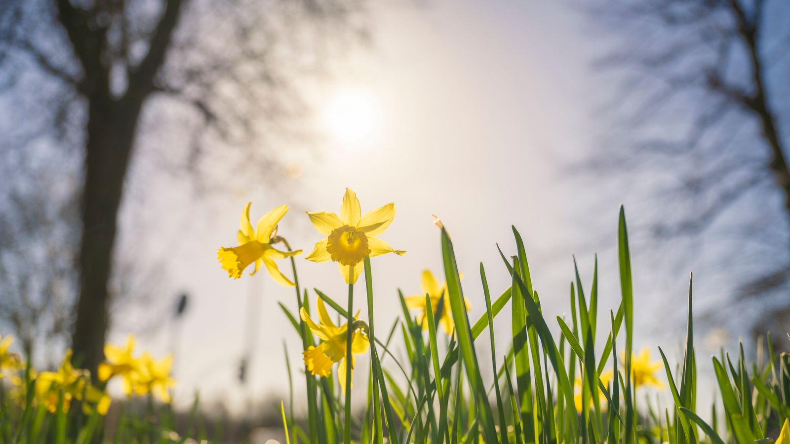 Record-Breaking Sunshine: UK's Spring Heatwave