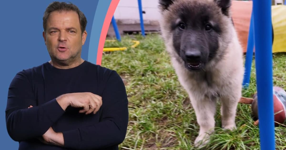 Rütter Kritisiert Hundehalterin: 