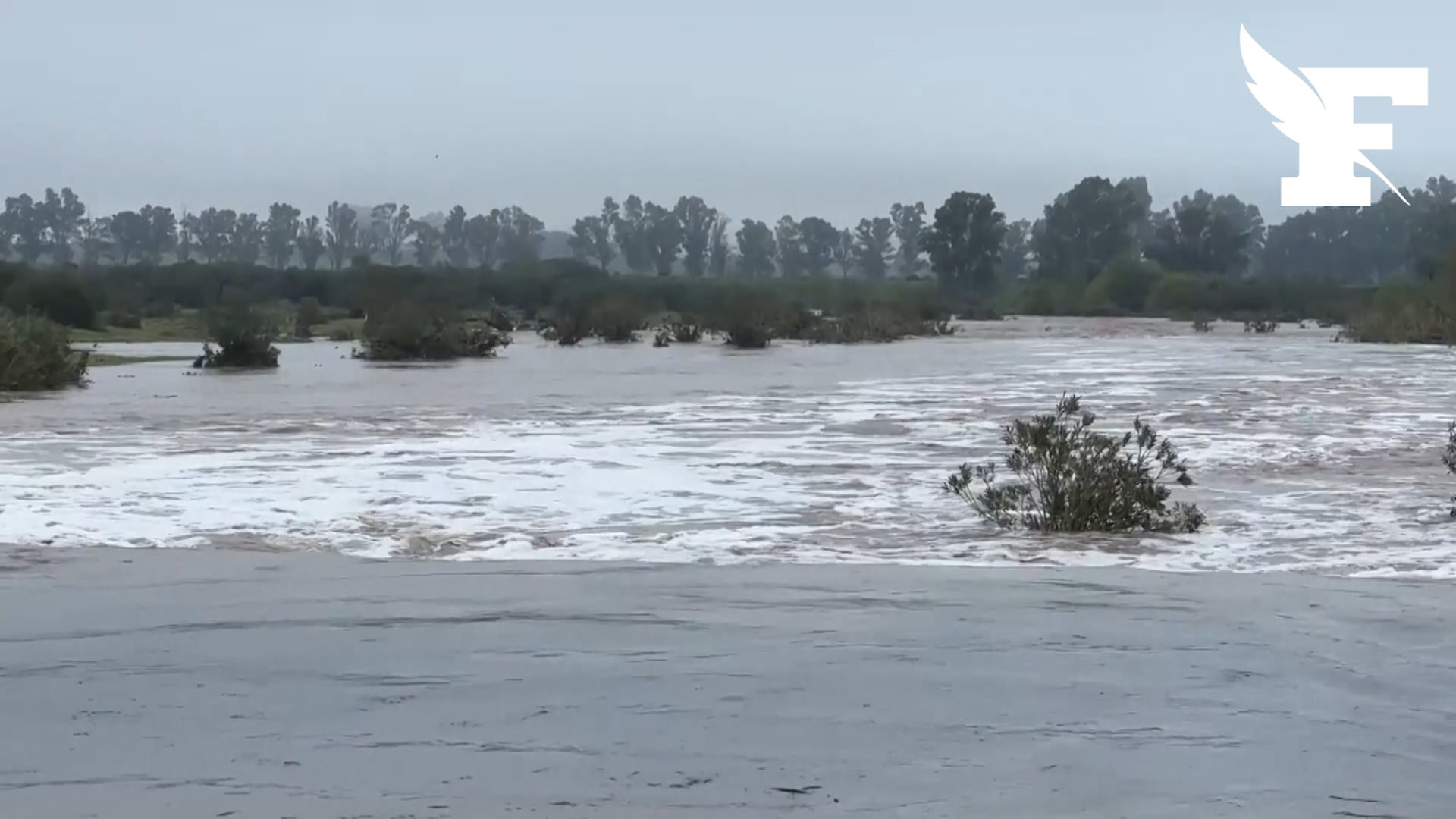 Tempête Laurence : Séville Inondée