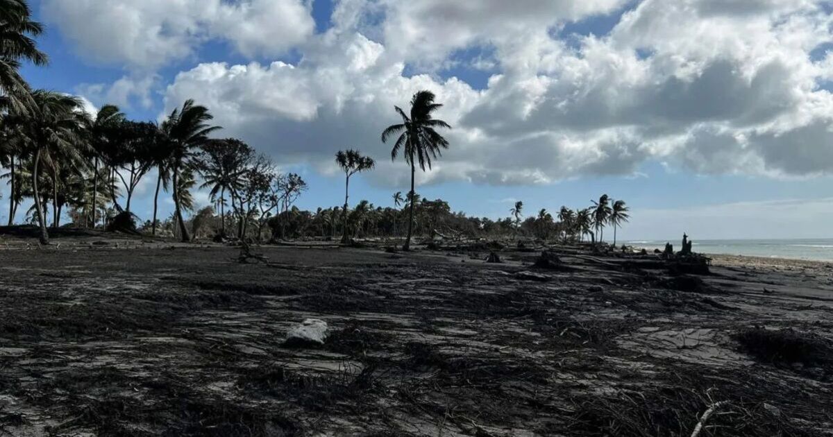 Tonga Earthquake LIVE: 7.1 Magnitude Tsunami Fears