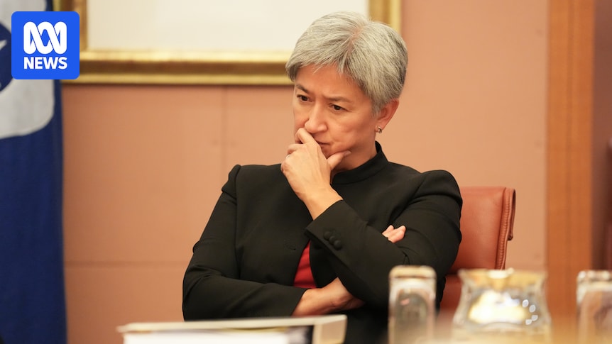 Wong: Israel's Self-Defense, Urges Iran Restraint