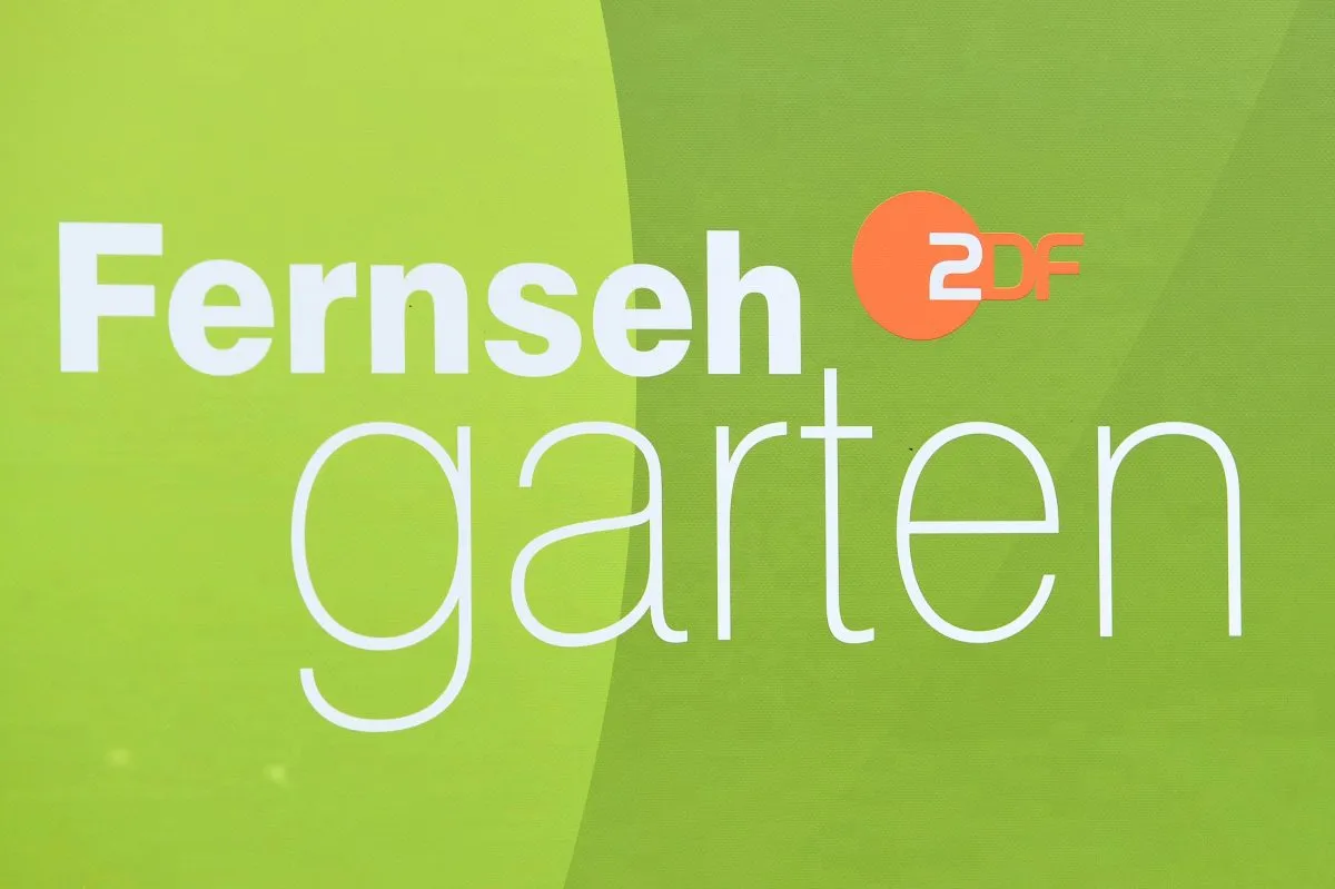 ZDF-Fernsehgarten: Linda Fäh, Luca Hänni & Francine Jordi